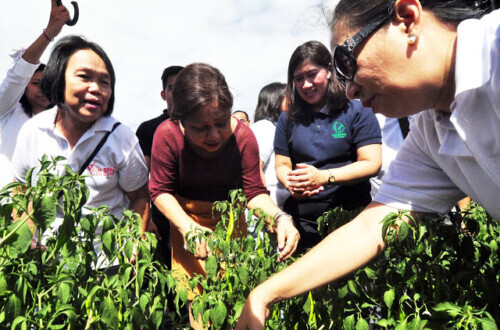 Albay Gov cites Villar’s role in province’s agricultural transformation