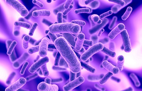 Tuberculosis tops Bataan town’s health concern