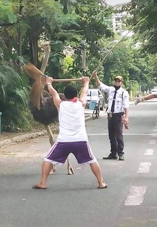 Forget bird flu — ostrich fever is gripping PHL