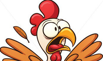Alert on for contaminated frozen chicken from Brazil