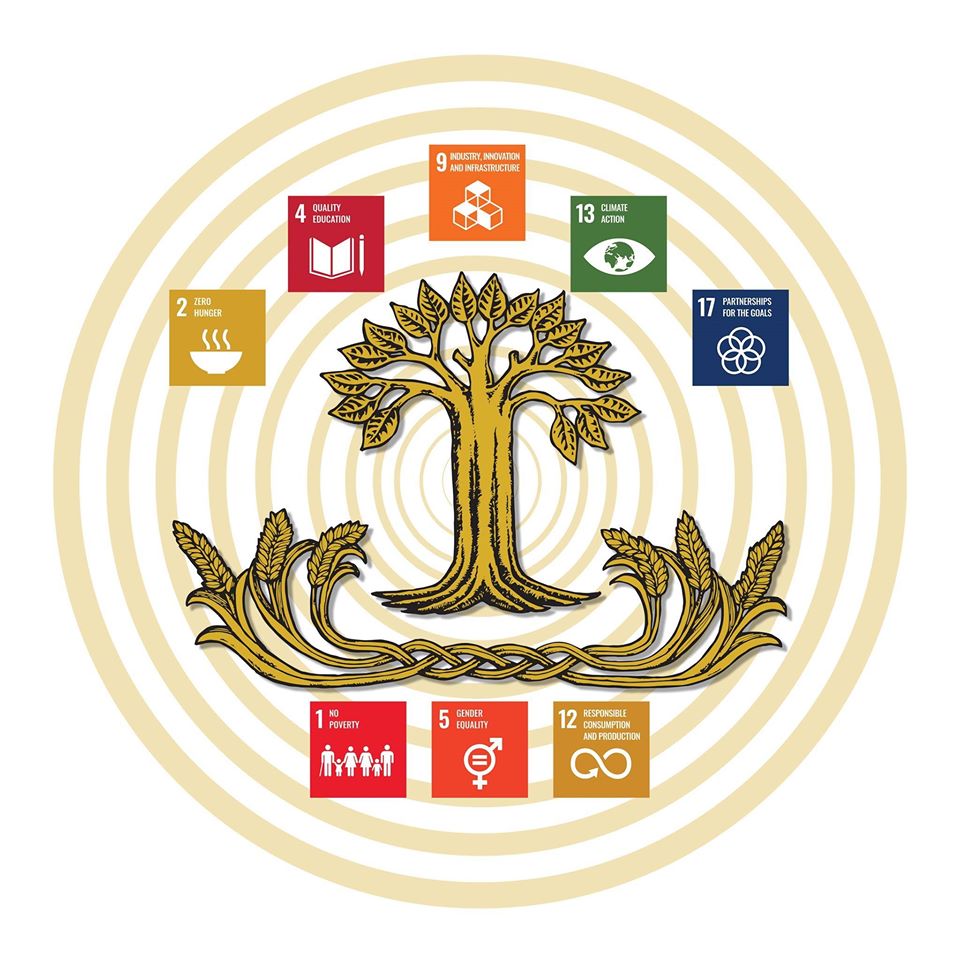 Universities and colleges can spark agri food systems transformation
