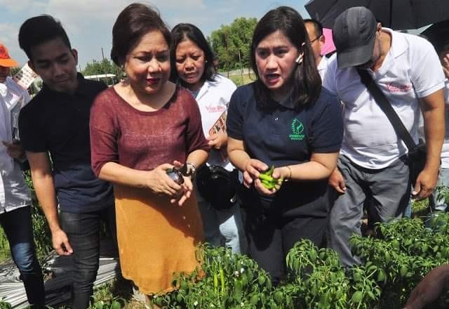 Villar identifies growth areas under new normal