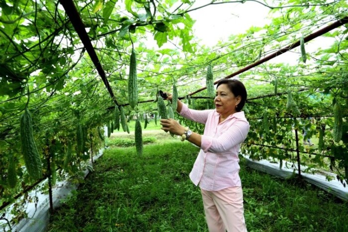 Villar farm schools help cultivate modern Filipino farmers