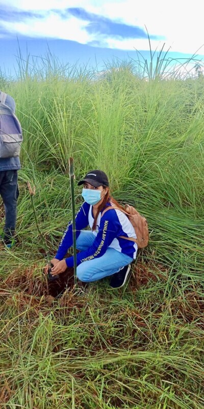 DENR Bataan plants bamboo, conducts coastal clean up