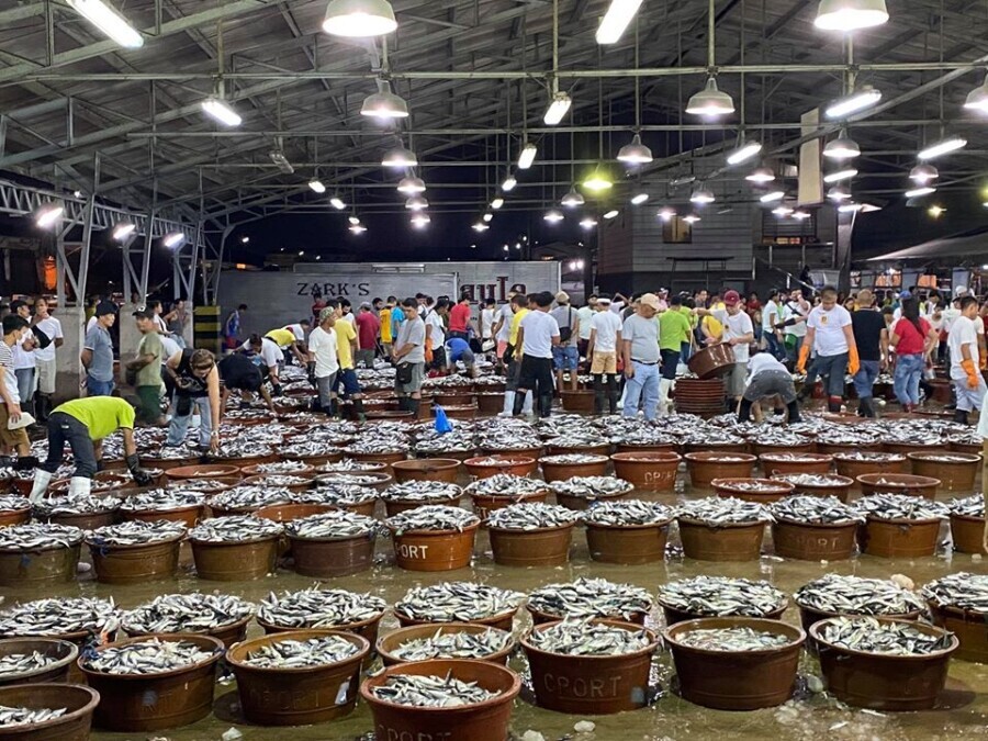 Monthly sanitation holiday for Navotas fish port