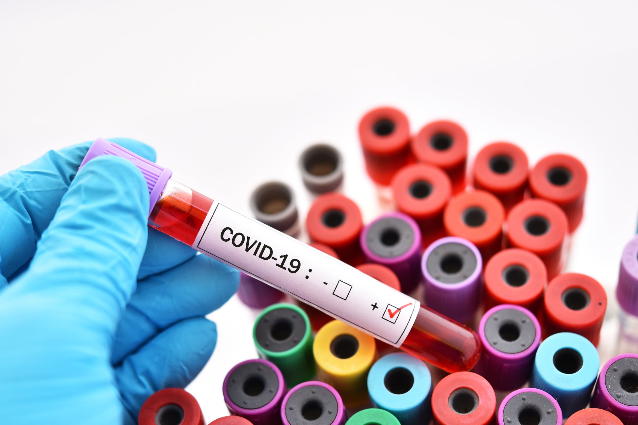 Clinical trials in PH for potential vaccine suppliers